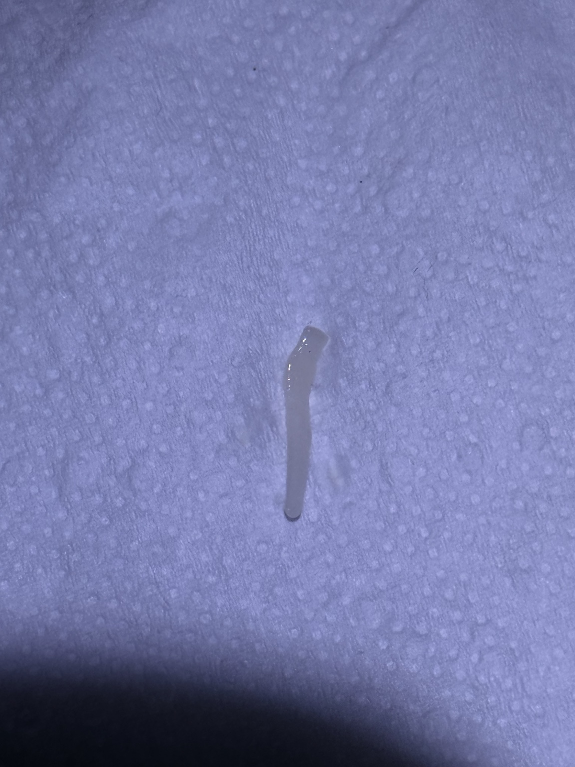 Pale moving worm-like piece found by a cat owner on a white paper towel