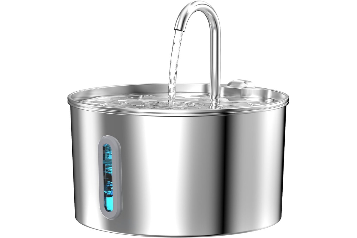 A stainless steel cat water fountain with a wide drinking bowl and clear water reservoir